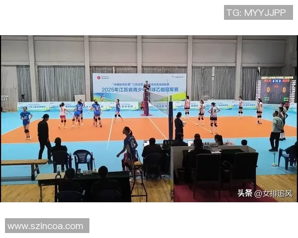 南京排球队在排球比赛中创下新高经验排名引发热议